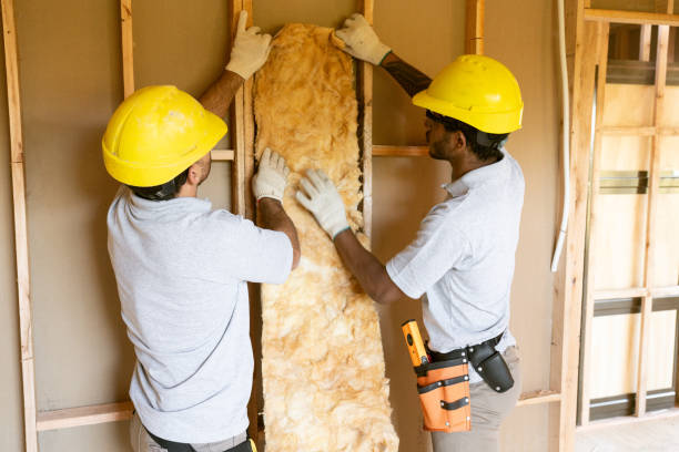 Best Basement Insulation  in USA